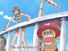 One Piece: Oounabara ni Hirake! Dekkai Dekkai Chichi no Yume!